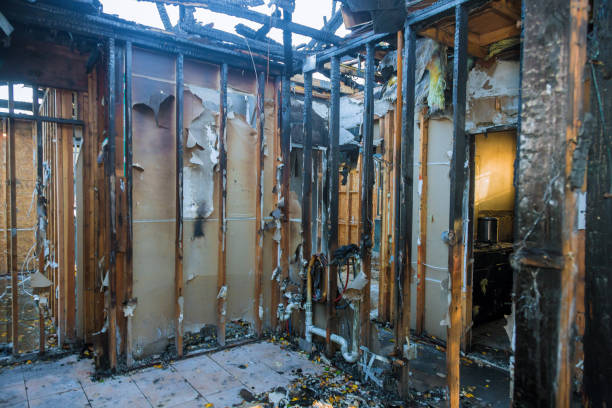 Professional Fire Damage Removal technician working in Casselberry, FL